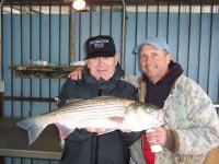 Lake Texoma striper