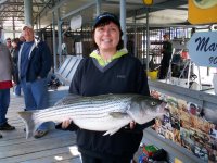 Lake Texoma striper