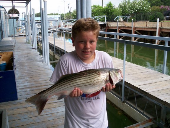 Marc Thompson's Lake Texoma Striper Fishing Guide Service, laketexomafishing.com