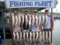 Lake Texoma striper