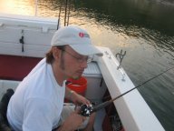 Lake Texoma striper