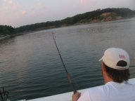 Lake Texoma striper
