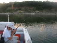 Lake Texoma striper