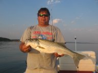 Lake Texoma striper