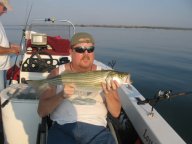 Lake Texoma striper