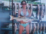 Lake Texoma striper