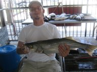 Lake Texoma striper
