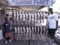 Lake Texoma striper