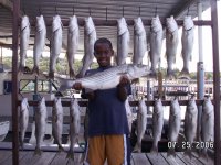 Lake Texoma striper