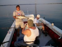 Lake Texoma striper