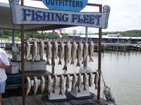 Lake Texoma striper