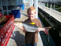 Lake Texoma striper fishing fun