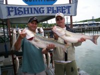 Lake Texoma striper
