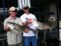 Lake Texoma striper