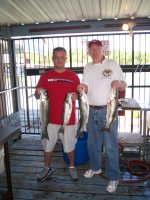 Lake Texoma striper