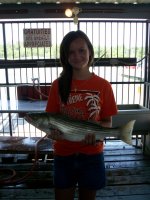 Lake Texoma striper