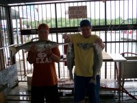 Lake Texoma striper