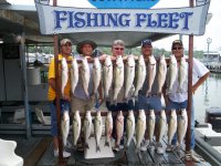 Lake Texoma striper
