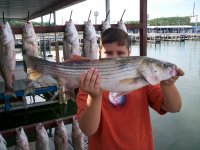 Lake Texoma striper