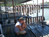 Lake Texoma striper