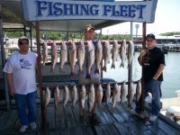 Lake Texoma striper