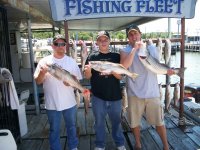 Lake Texoma striper