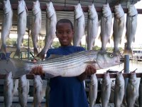 Lake Texoma striper