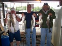 Lake Texoma striper