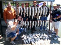 Lake Texoma striper