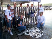 Lake Texoma striper