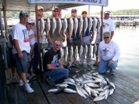 Lake Texoma striper