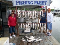 Lake Texoma striper
