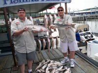 Lake Texoma striper