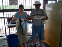 Lake Texoma striper