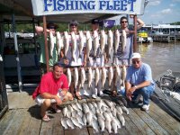Lake Texoma striper
